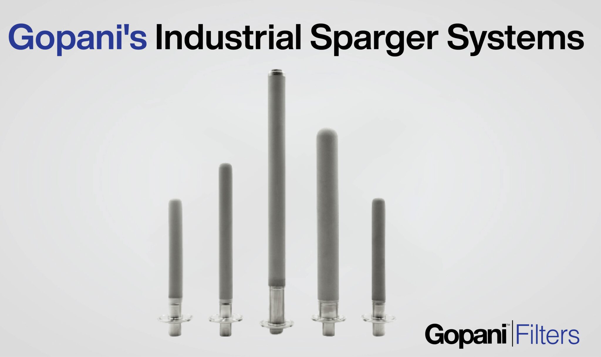 Gopani industrial sparger system